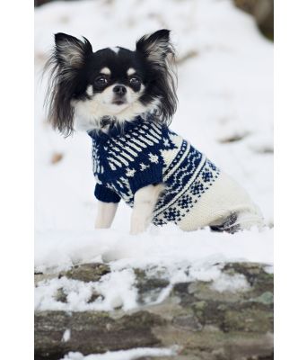 Norgesgenseren hundegenser - DLG 149