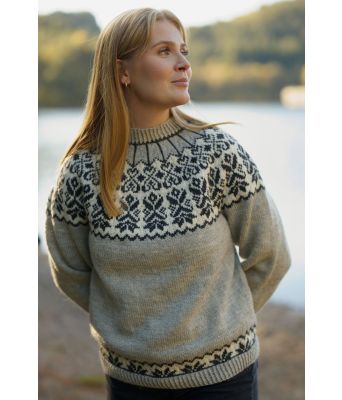 Eldfjall genseren - DLG 24-015