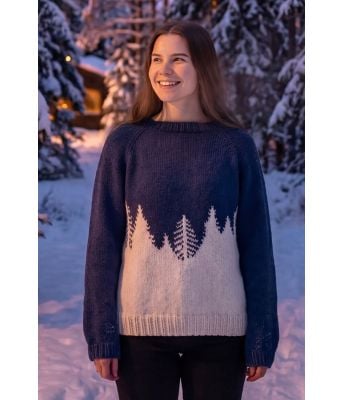 Forest silhouette winter night - DLG 24-019-34063402