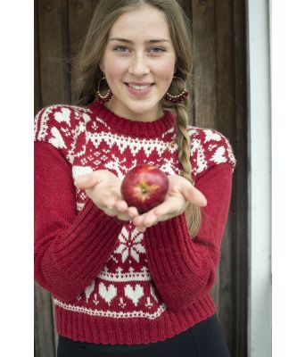 Reinsdyrgenser rød julegenser med reinsdyr - DSA 2018-02