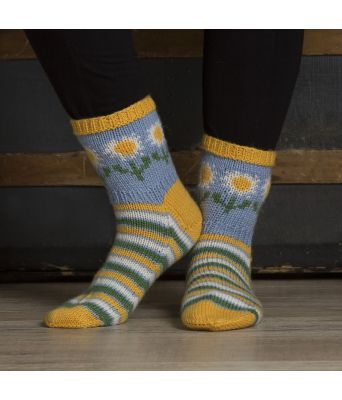 Sokker Prestekrage 1805-6